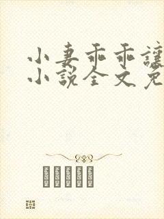 小妻乖乖让我宠小说全文免费阅读