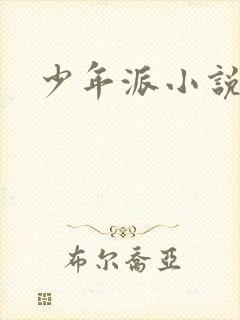 少年派小说