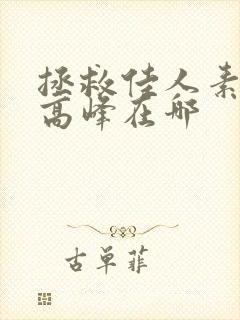 拯救佳人素柔 高峰在哪