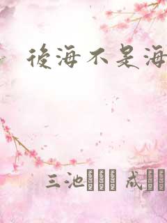 后海不是海小说
