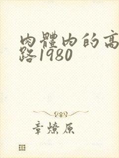 肉体内的高速公路1980