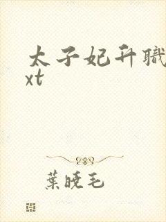 太子妃升职记txt