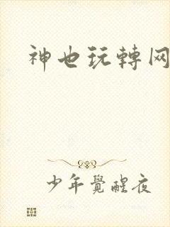 神也玩转网游