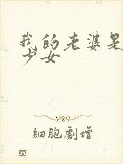 我的老婆是幻想少女