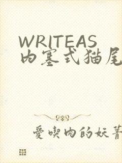 WRITEAS内塞式猫尾