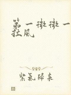 第一微微一笑很拉风