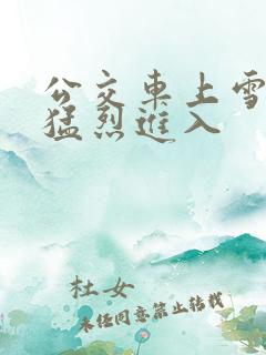 公交车上雪柔被猛烈进入