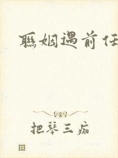 联姻遇前任小说
