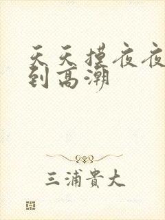 天天摸夜夜摸摸到高潮