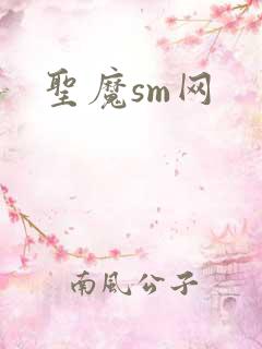 圣魔sm网