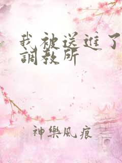 我被送进了私奴调教所