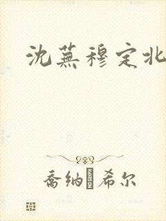 沈芜穆定北小说