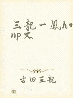 三龙一凤h啪肉np文