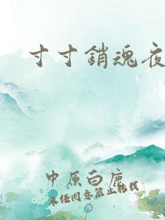 寸寸销魂夜春光