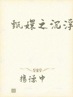 甄嬛之沉浮一生