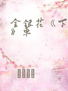 金银花《下厨房》车