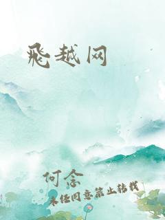 飞越网