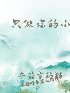 只做你的小软糖