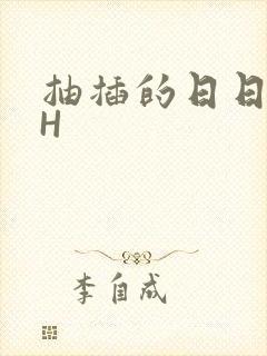 抽插的日日液液H