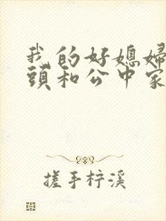 我的好媳妇中字头和公中家的区别