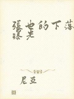 张也的下落终于曝光