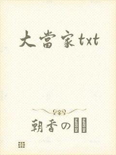 大当家txt