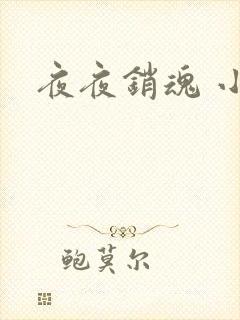 夜夜销魂 小说