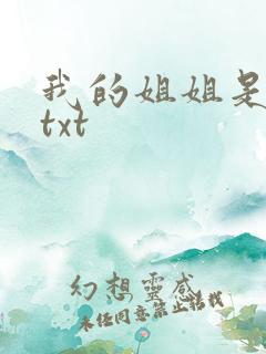 我的姐姐是美女txt