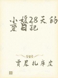 小媛28天的剧变日记