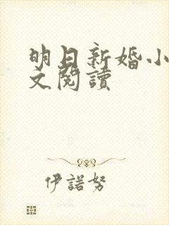 明日新婚小说全文阅读