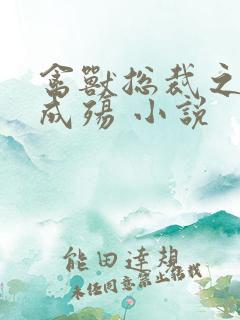 禽兽总裁之虐爱成殇 小说