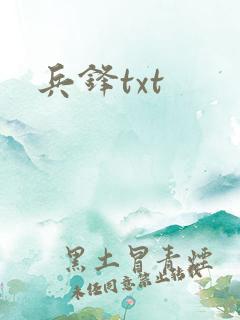 兵锋txt