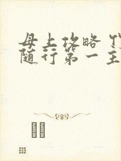 母上攻略 竹影随行第一主板