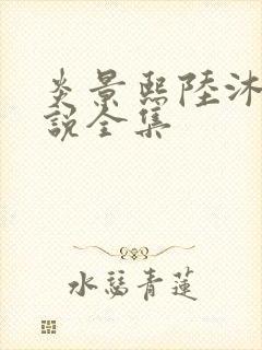 炎景熙陆沐擎小说全集