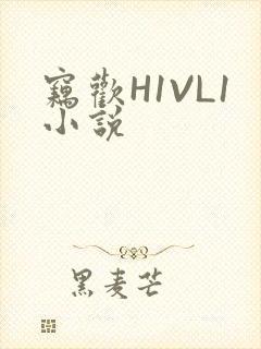 窃欢H1VL1小说