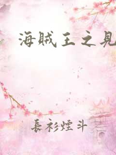 海贼王之见证者