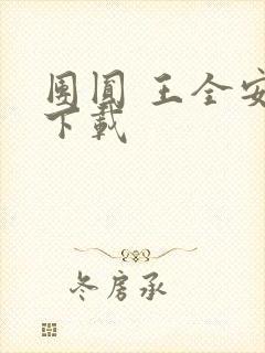 团圆 王全安 下载