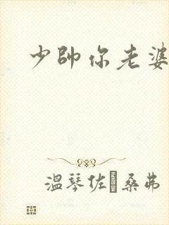 少帅你老婆