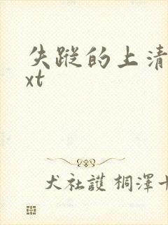 失踪的上清寺txt