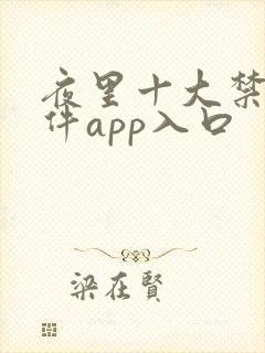 夜里十大禁用软件app入口