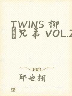 TWINS 柳澤兄弟 VOL.2