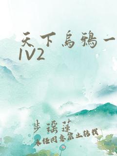 天下乌鸦一般黑1V2