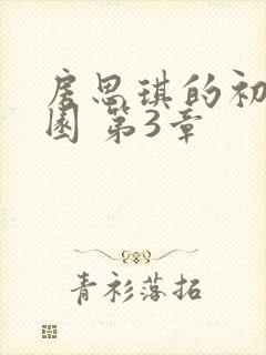 房思琪的初恋乐园 第3章