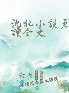 沈北小说免费阅读全文