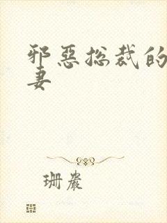 邪恶总裁的娇宠妻
