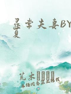 寻常夫妻BY写夏