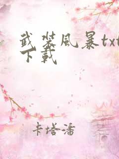 武装风暴txt下载