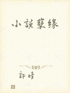 小说孽缘
