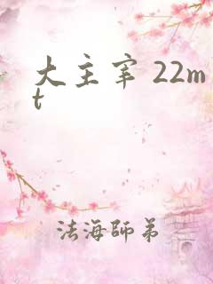 大主宰 22mt