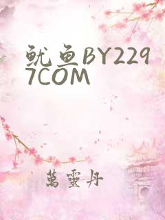 鱿鱼BY2297COM